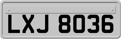 LXJ8036