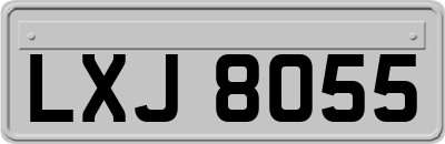 LXJ8055