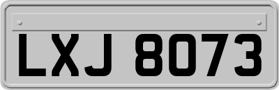 LXJ8073