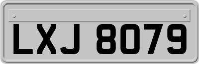 LXJ8079