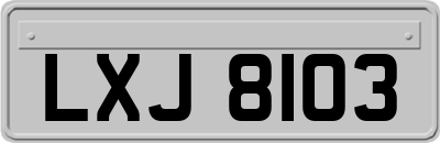LXJ8103