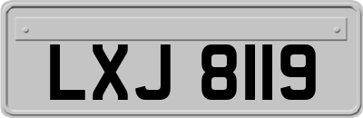 LXJ8119
