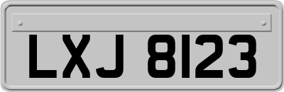 LXJ8123