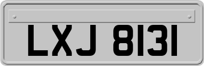 LXJ8131