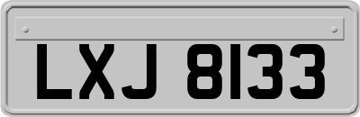 LXJ8133