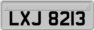 LXJ8213