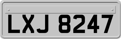 LXJ8247