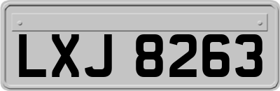 LXJ8263