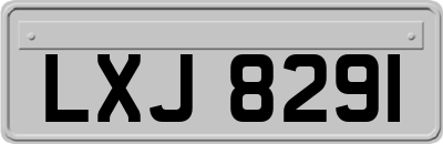 LXJ8291