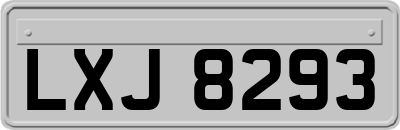 LXJ8293