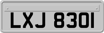 LXJ8301