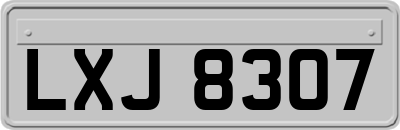 LXJ8307