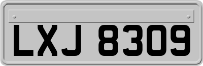 LXJ8309