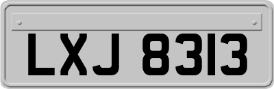 LXJ8313