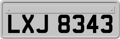 LXJ8343