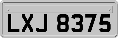 LXJ8375