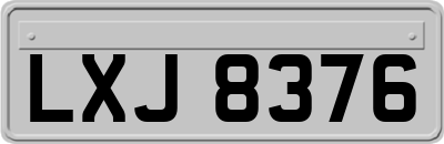 LXJ8376