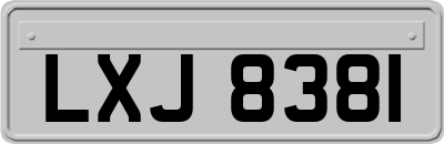 LXJ8381