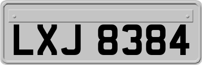 LXJ8384