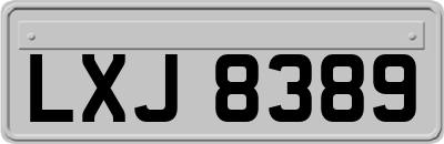 LXJ8389