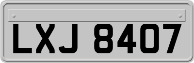 LXJ8407