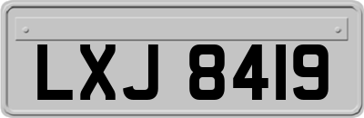 LXJ8419