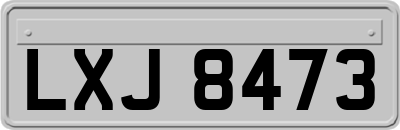 LXJ8473