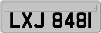 LXJ8481
