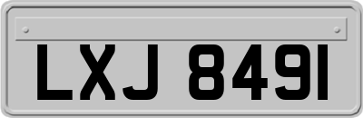 LXJ8491