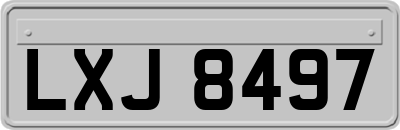 LXJ8497