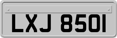 LXJ8501