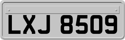 LXJ8509