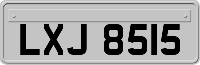 LXJ8515