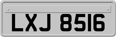 LXJ8516