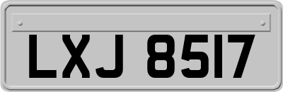 LXJ8517