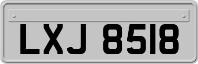 LXJ8518