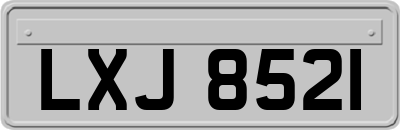LXJ8521
