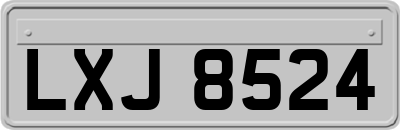 LXJ8524