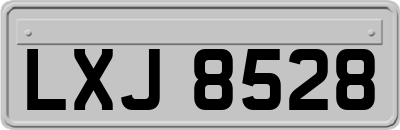 LXJ8528