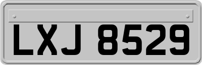 LXJ8529