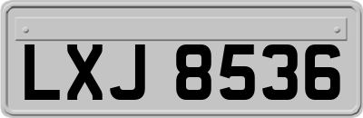 LXJ8536