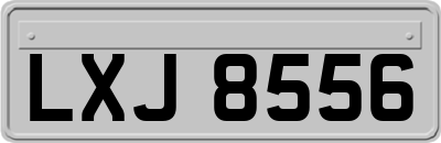 LXJ8556