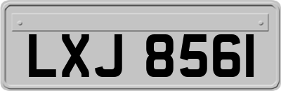 LXJ8561