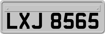 LXJ8565