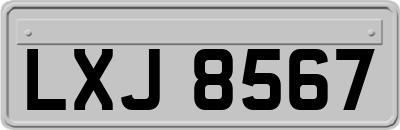 LXJ8567