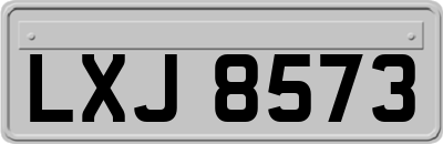 LXJ8573
