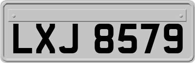 LXJ8579