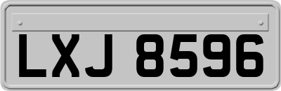 LXJ8596