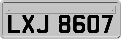 LXJ8607