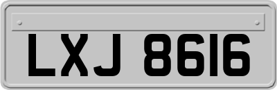 LXJ8616